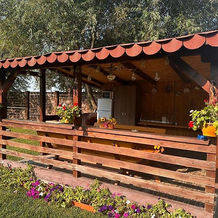 Casa Carp Calarasi Hotell Exteriör bild